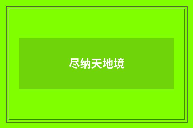 尽纳天地境