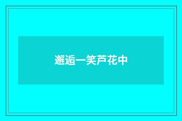 邂逅一笑芦花中