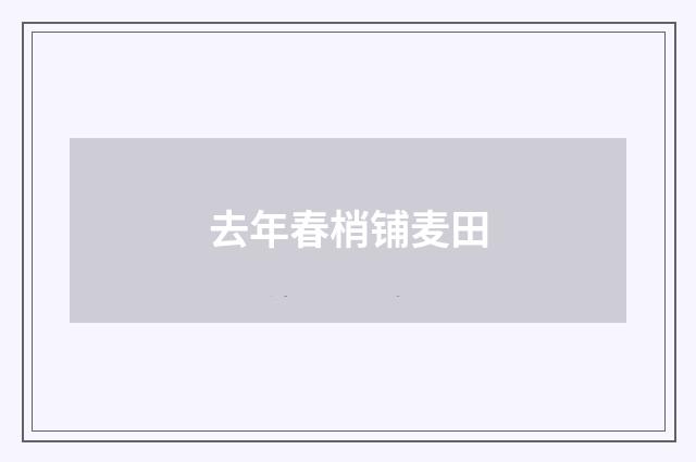 去年春梢铺麦田
