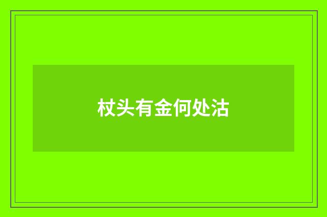 杖头有金何处沽