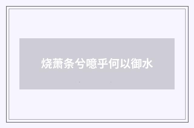 烧萧条兮噫乎何以御水