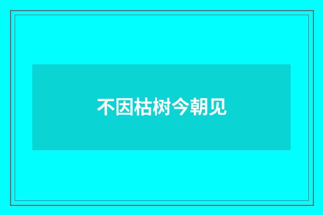 不因枯树今朝见