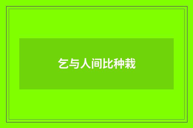 乞与人间比种栽