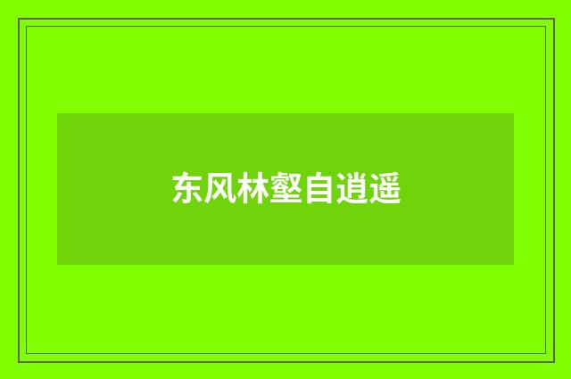 东风林壑自逍遥