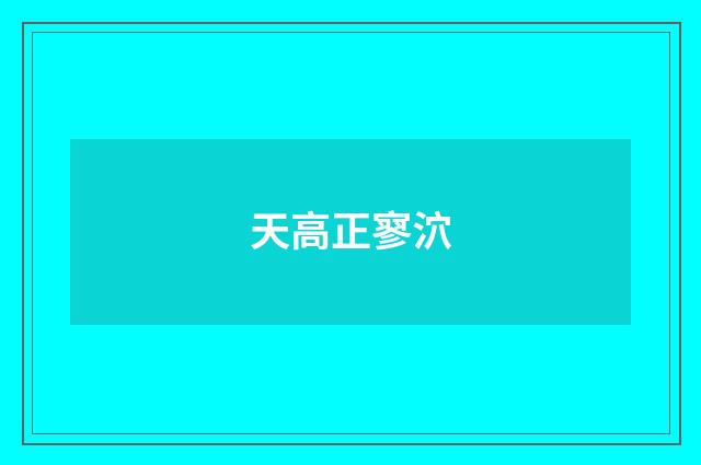 天高正寥泬
