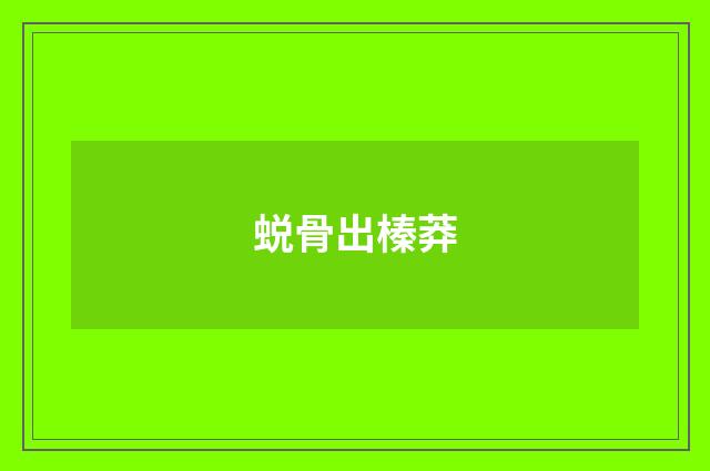 蜕骨出榛莽