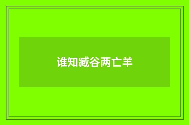 谁知臧谷两亡羊