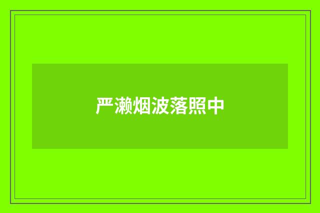 严濑烟波落照中