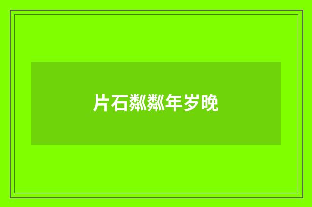 片石粼粼年岁晚