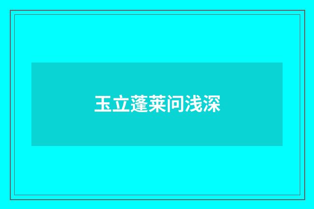玉立蓬莱问浅深