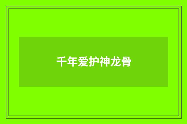千年爱护神龙骨