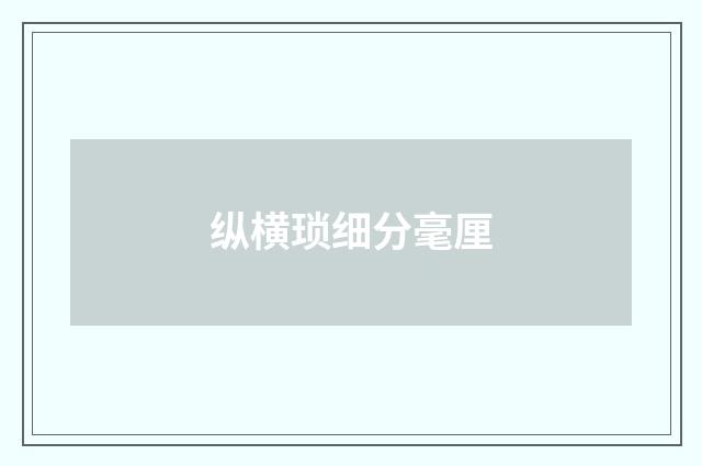 纵横琐细分毫厘