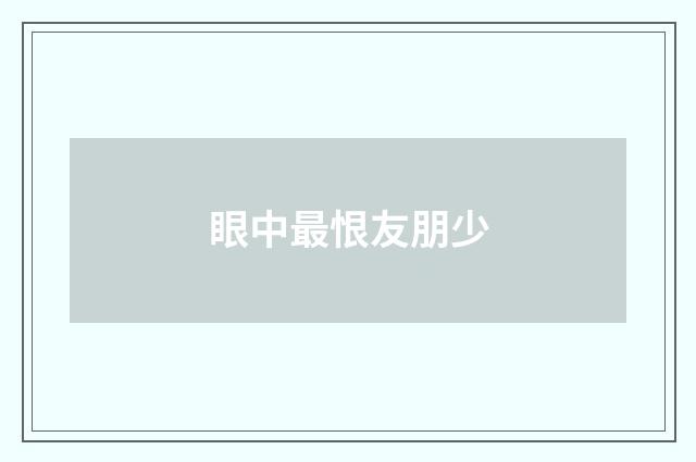 眼中最恨友朋少