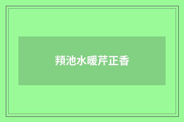頖池水暖芹正香