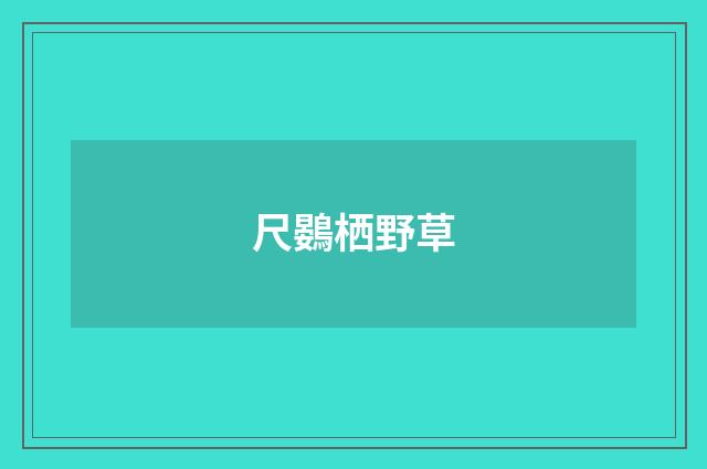 尺鷃栖野草