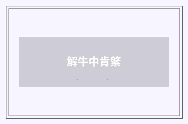 解牛中肯綮