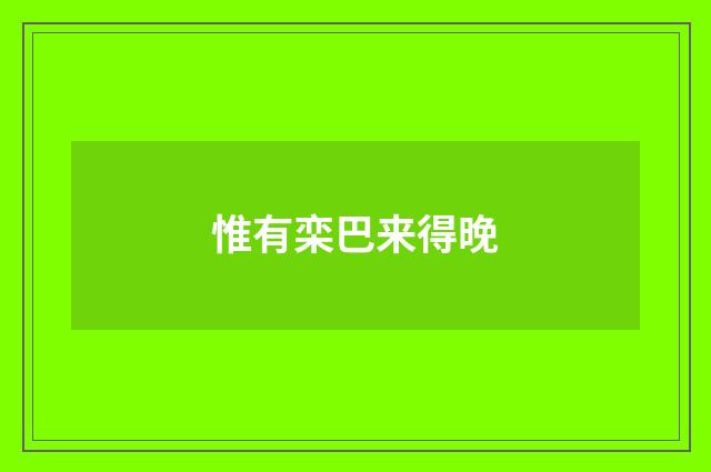 惟有栾巴来得晚