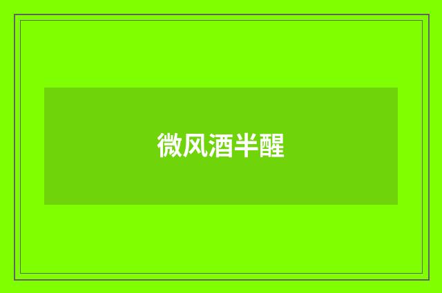 微风酒半醒
