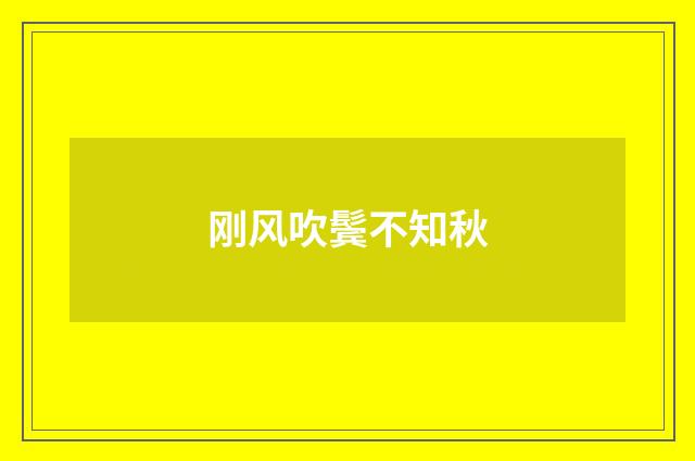 刚风吹鬓不知秋