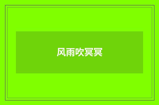 风雨吹冥冥