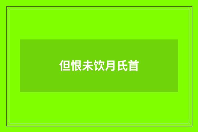 但恨未饮月氏首