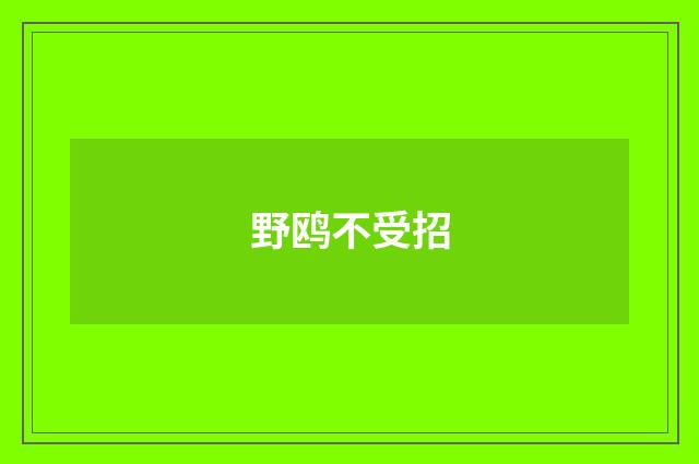 野鸥不受招