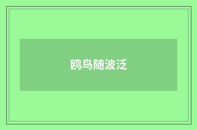 鸥鸟随波泛