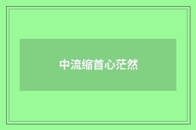 中流缩首心茫然
