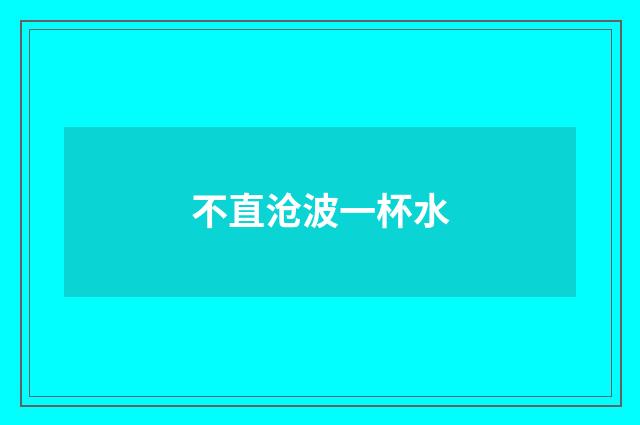 不直沧波一杯水