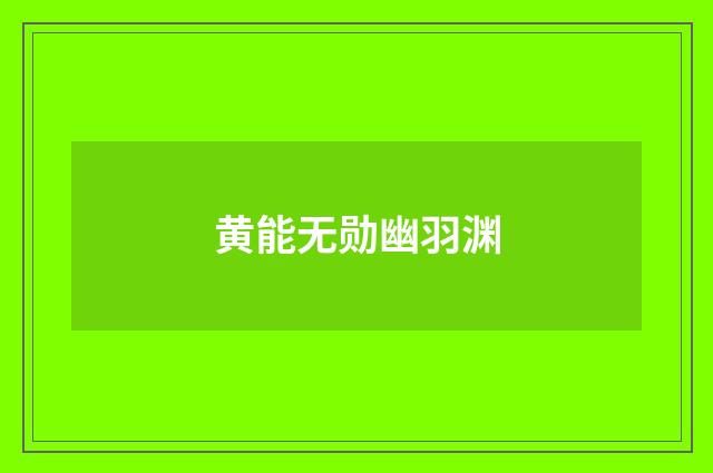 黄能无勋幽羽渊