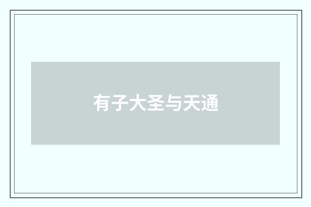有子大圣与天通