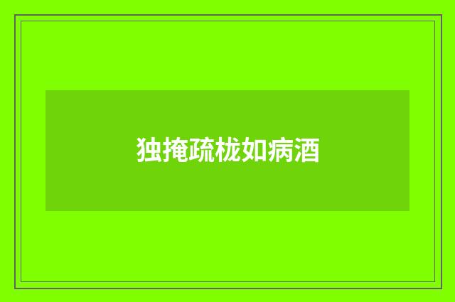 独掩疏栊如病酒