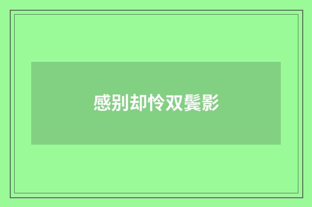 感别却怜双鬓影