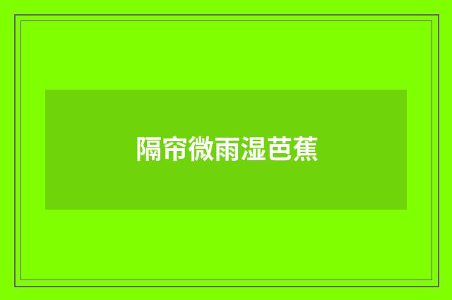 隔帘微雨湿芭蕉