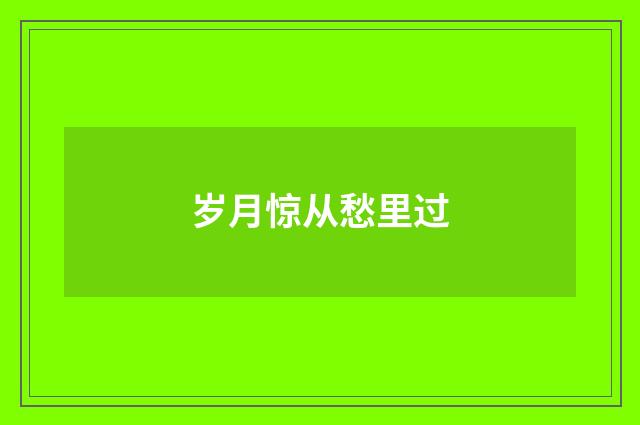 岁月惊从愁里过
