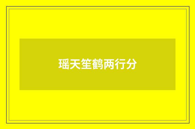 瑶天笙鹤两行分
