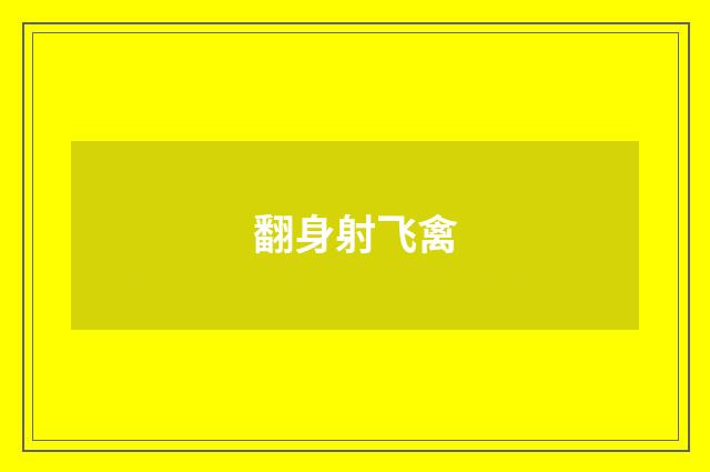 翻身射飞禽