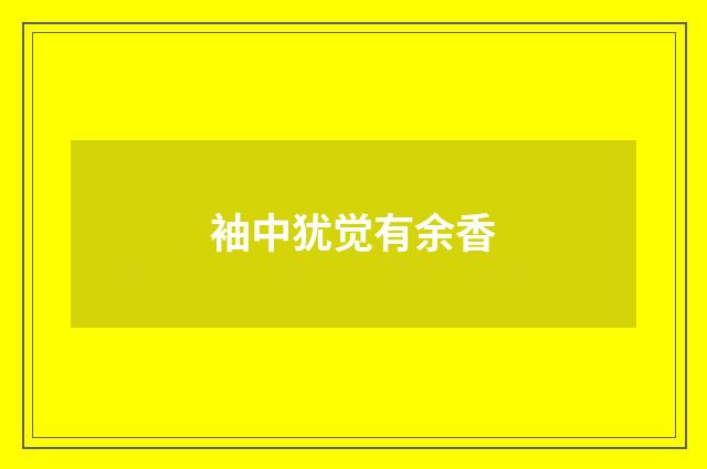 袖中犹觉有余香