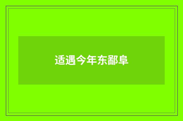 适遇今年东鄙阜
