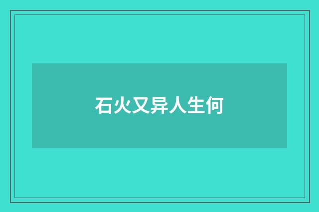石火又异人生何