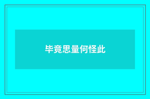 毕竟思量何怪此
