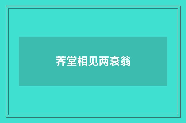 荠堂相见两衰翁