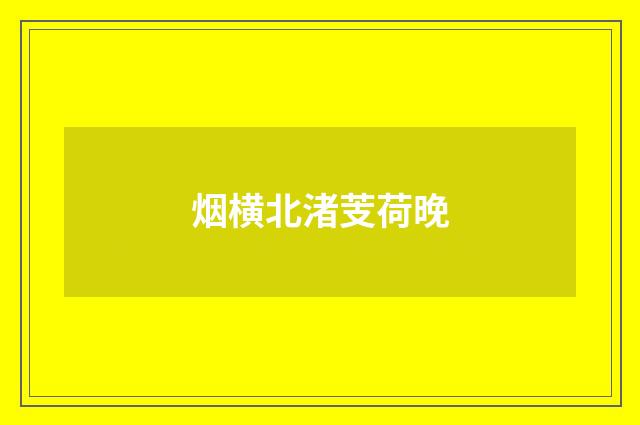 烟横北渚芰荷晚