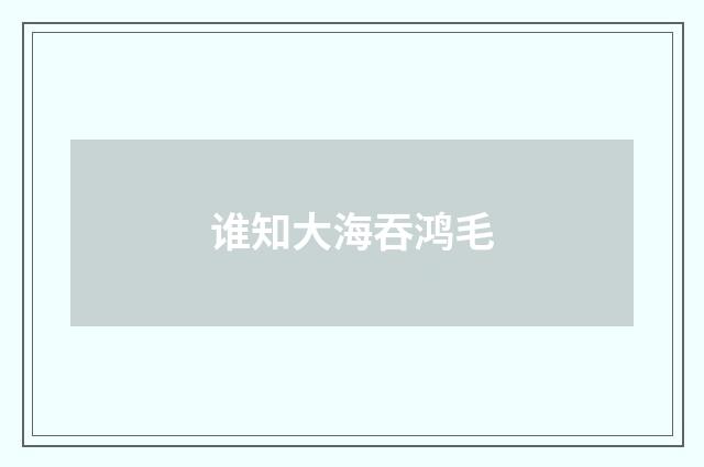 谁知大海吞鸿毛