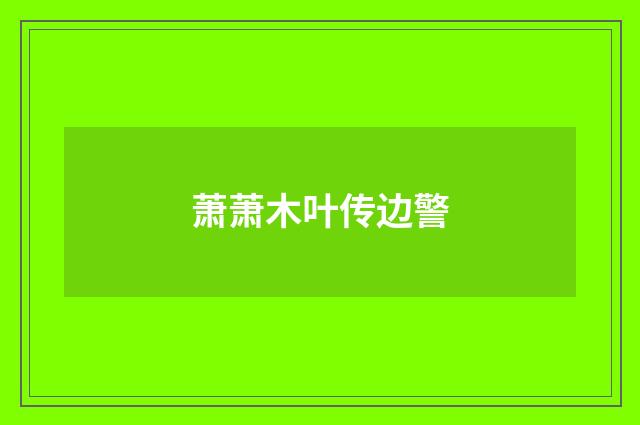 萧萧木叶传边警