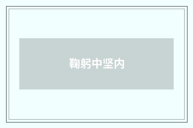 鞠躬中坚内