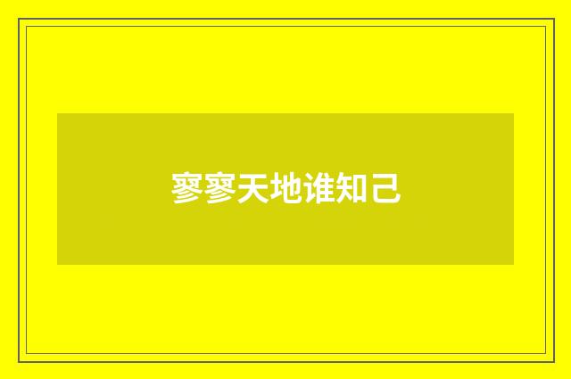 寥寥天地谁知己