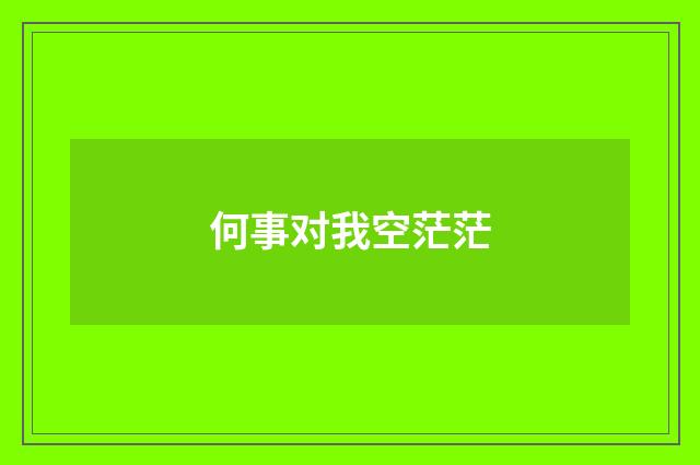 何事对我空茫茫
