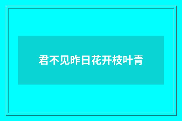 君不见昨日花开枝叶青