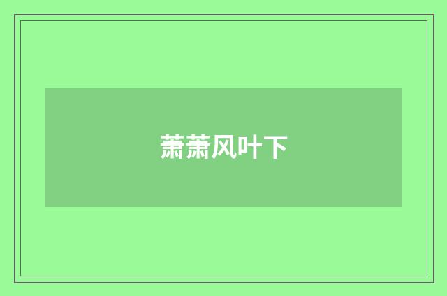 萧萧风叶下